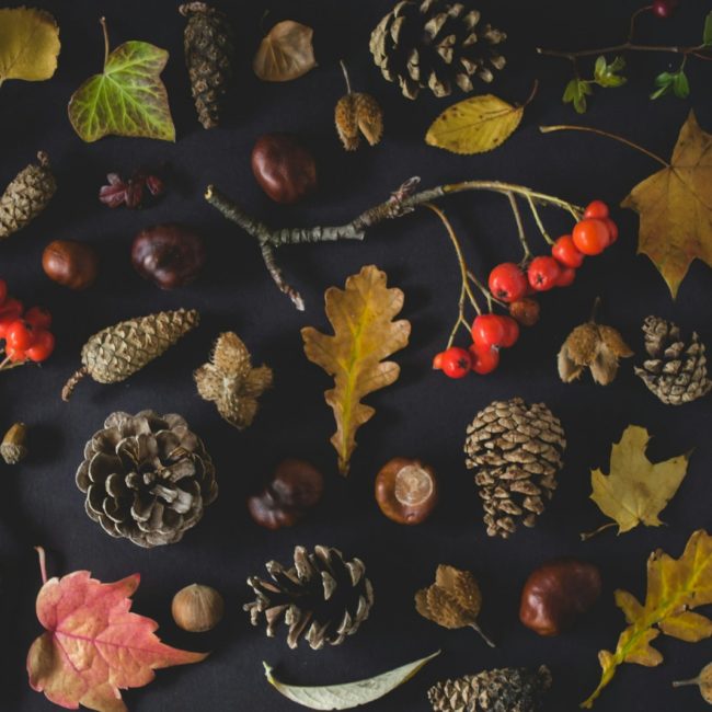 fruits lot on black surface